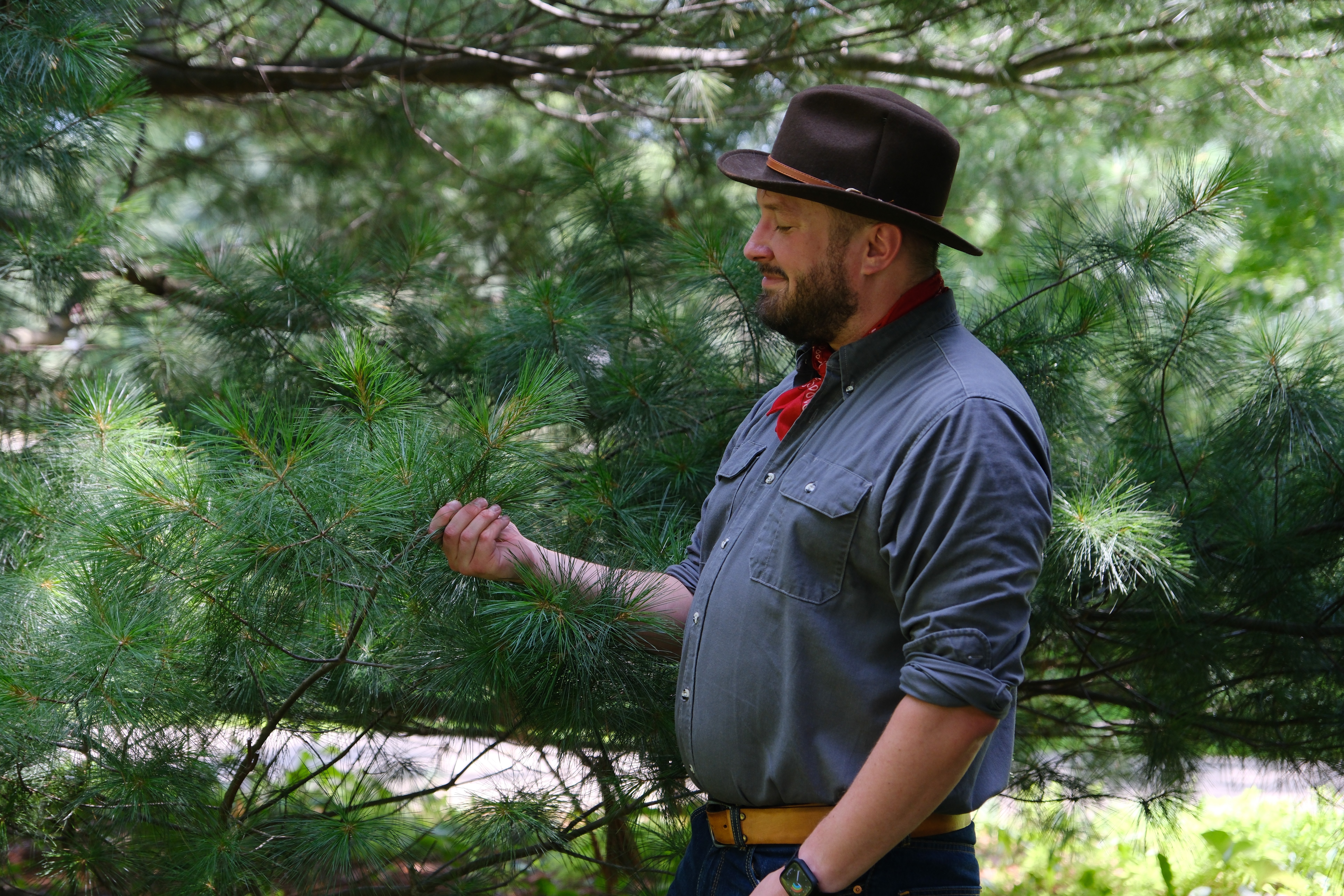 Man with beard wearing a hat and gray shirt stands outdoors among green trees and foliage.