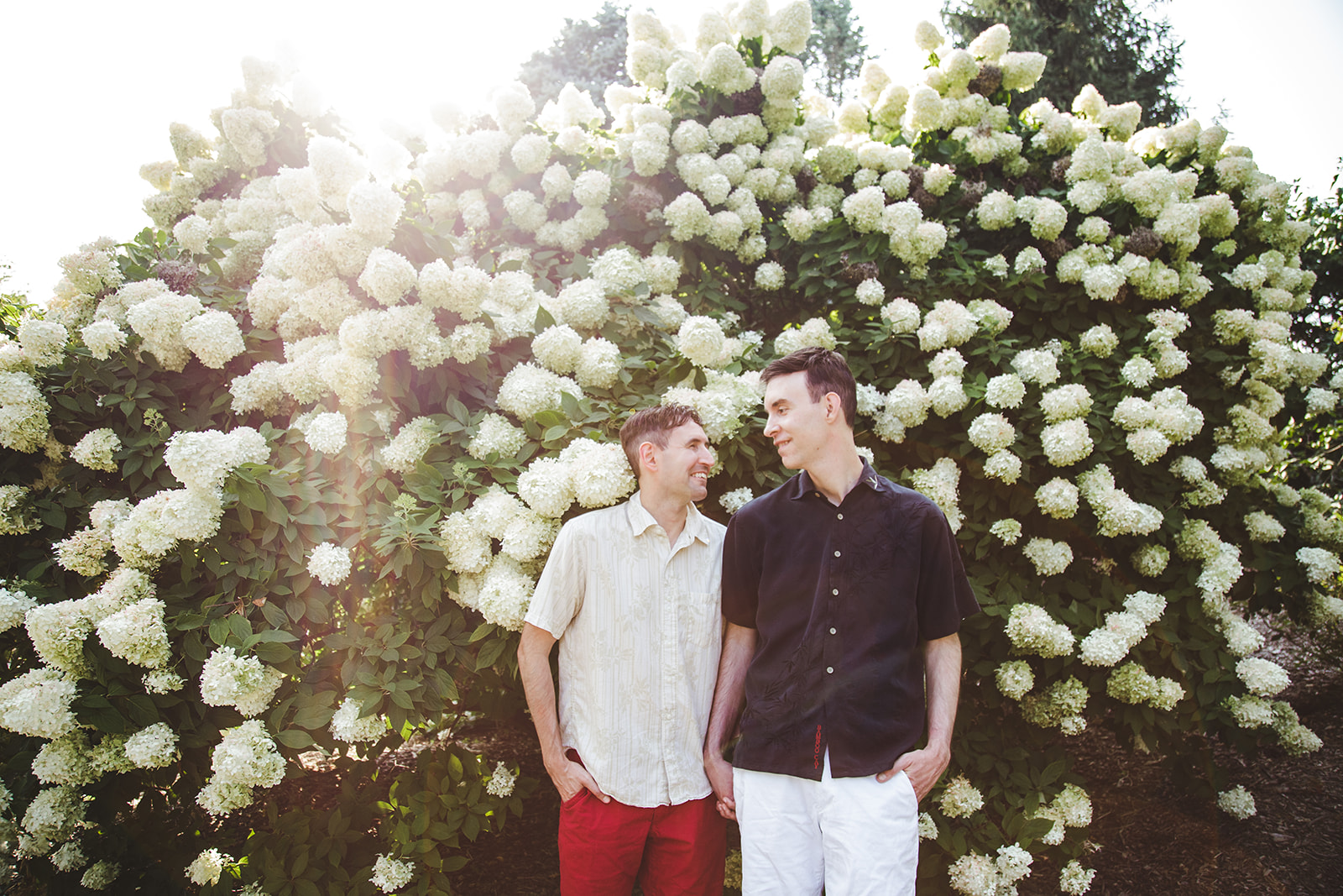 Two men stand outdoors in front of large white flowering bushes, sunlight shining from the top left, both looking at each other.