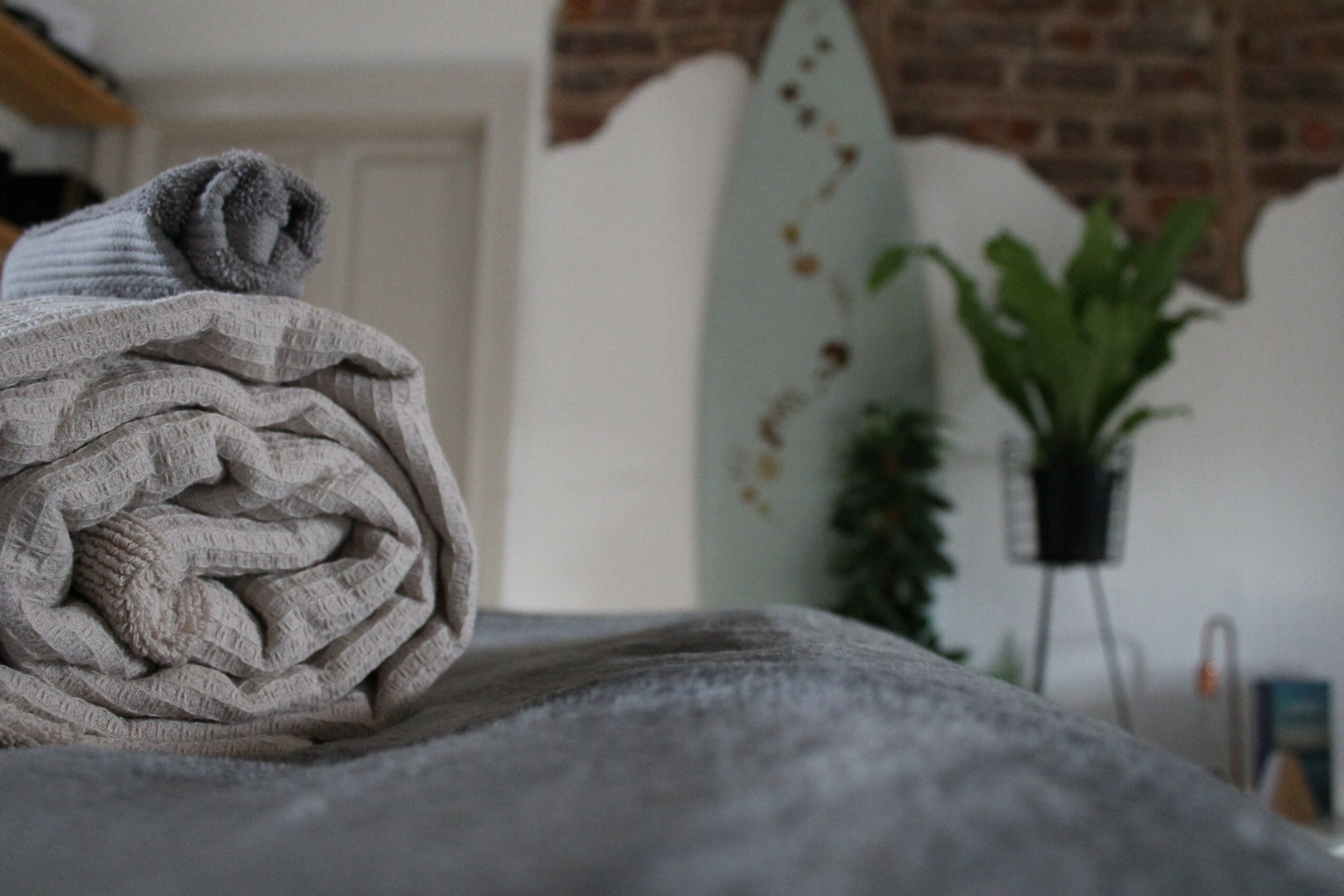 Rolled towels on a bed with a plant and wall in the background.