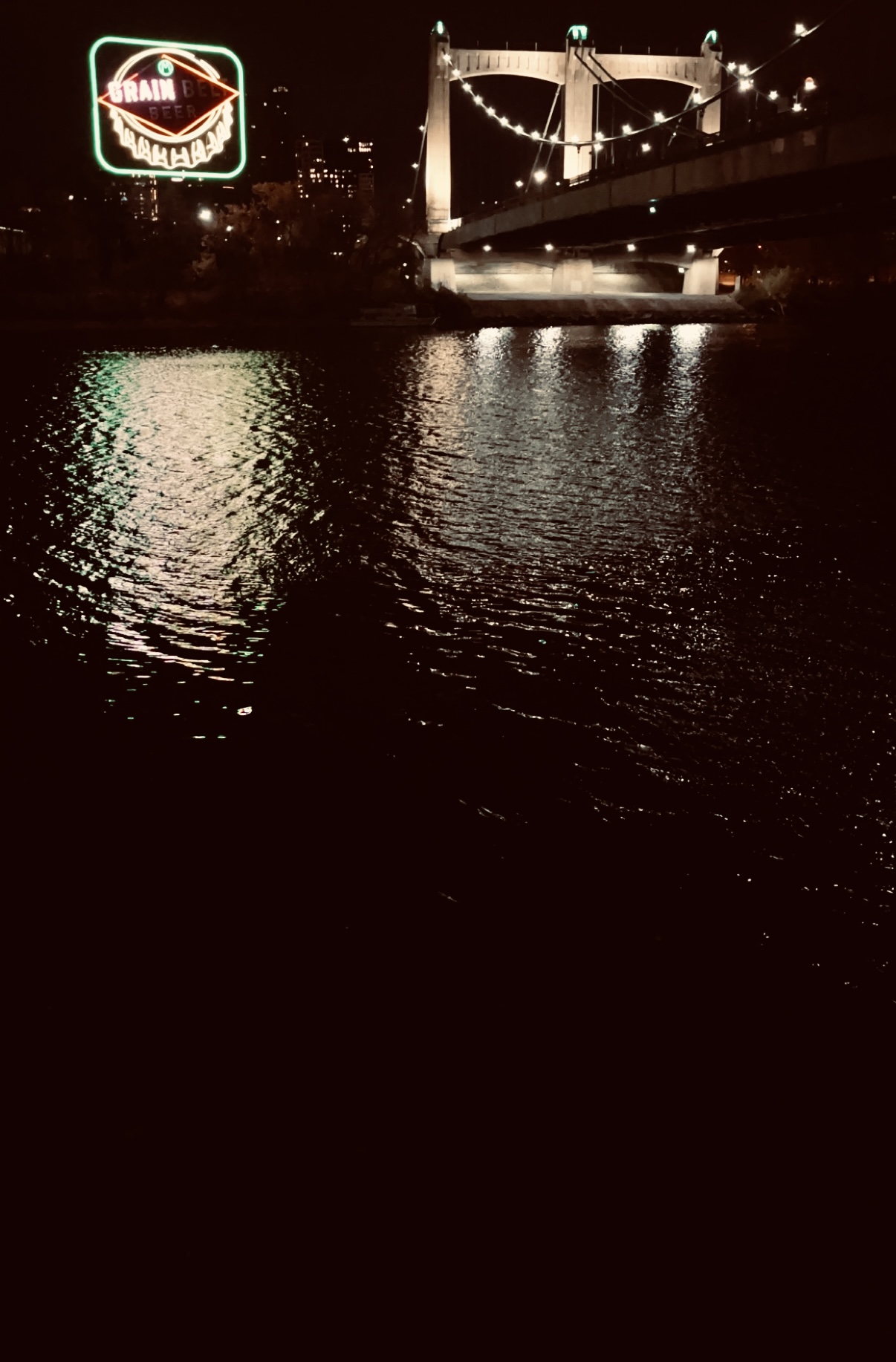 Night scene with illuminated bridge and neon sign reflecting on water, city lights in background.