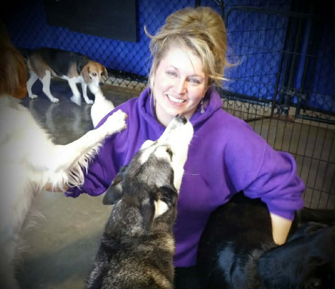 Woman in purple hoodie surrounded by dogs, smiling indoors with a blue background and a metal fence.