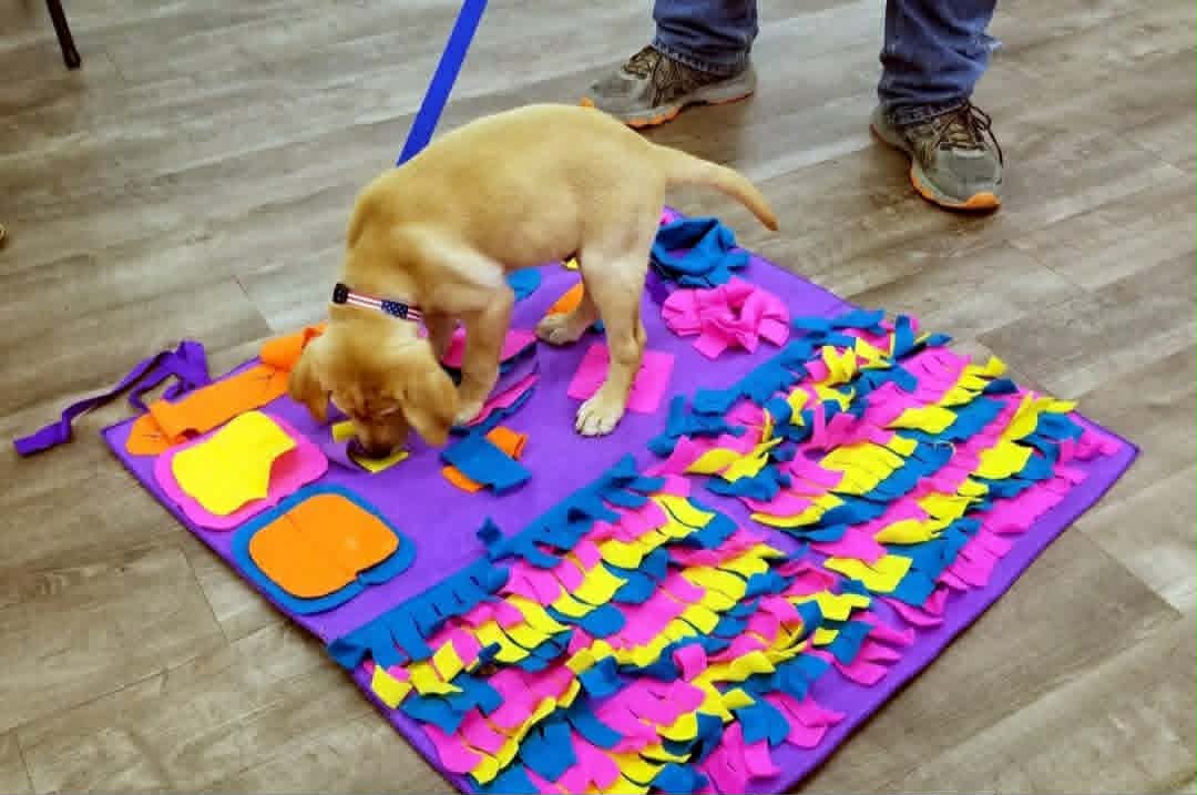 Dog sniffing colorful paper decorations on a mat, with person's legs and shoes visible in the background.