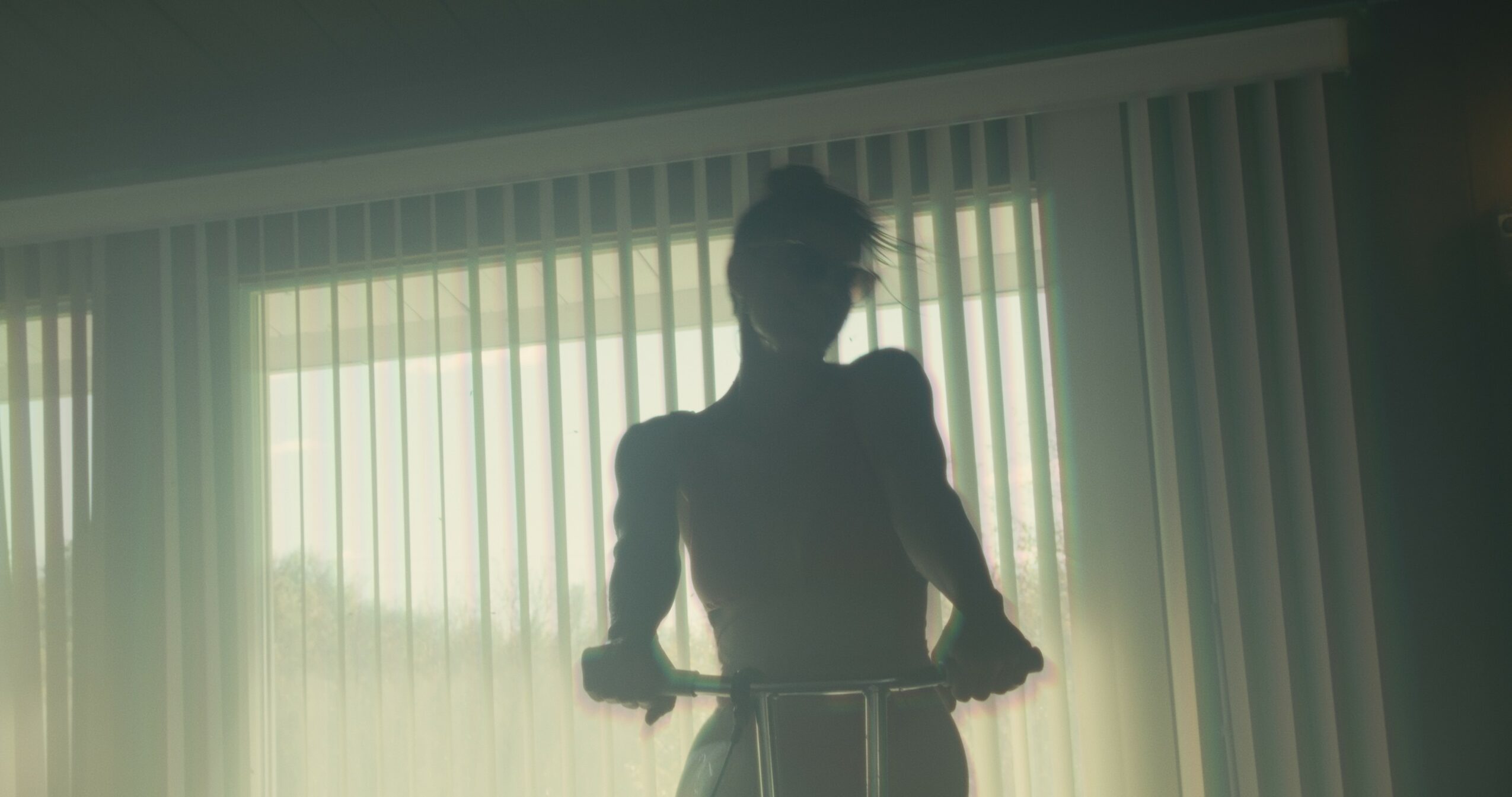 Silhouette of a person cleaning a window with vertical blinds behind them.