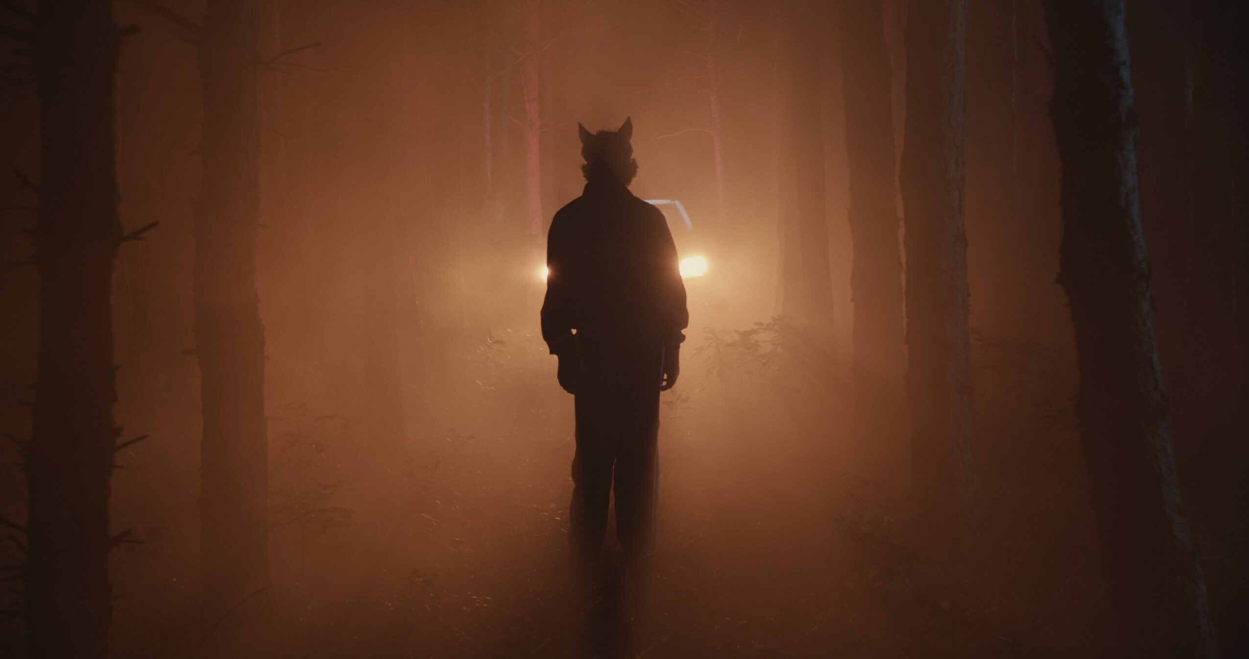 Person walking in a foggy forest with sunlight behind, silhouette visible, trees on sides, mysterious atmosphere.
