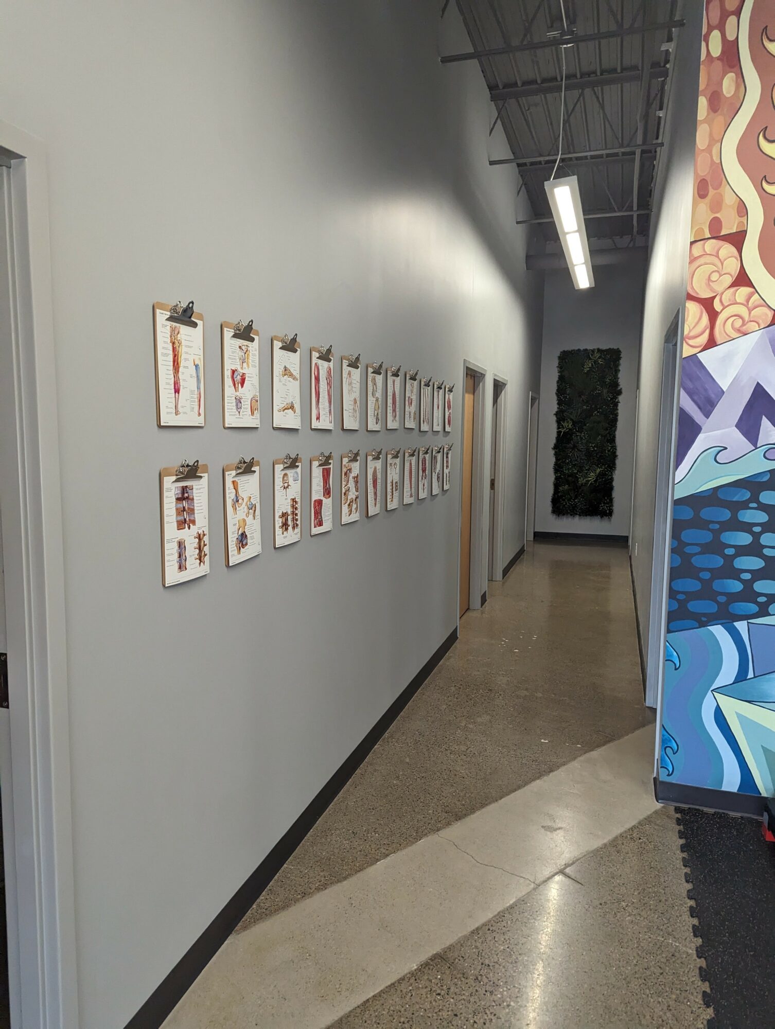 Hallway with framed artwork on the left wall, a door, and a mural on the right side, with ceiling lights and a plant at the end.