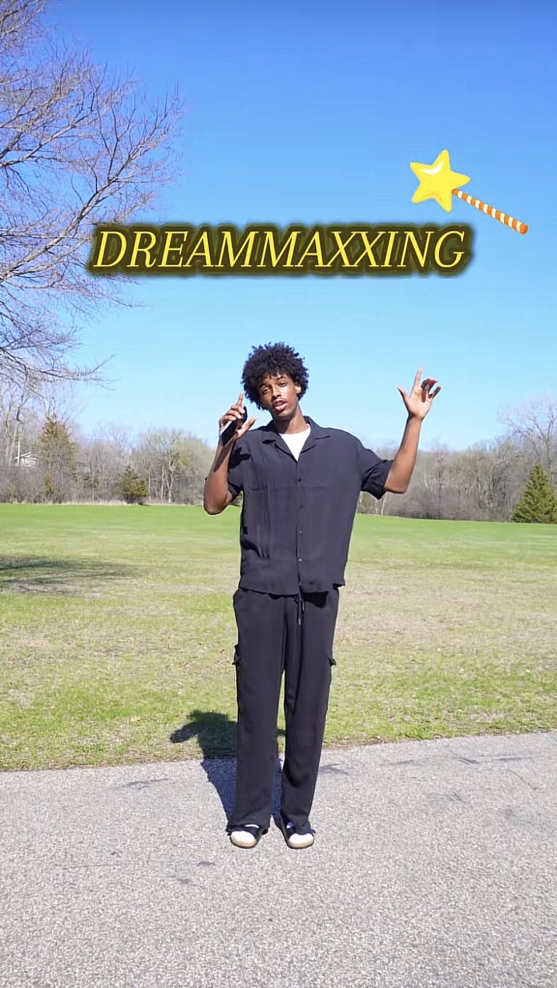 Person standing outdoors on grass with trees and blue sky, holding a phone, with text 'DREAMMAXXING' and a shooting star above.