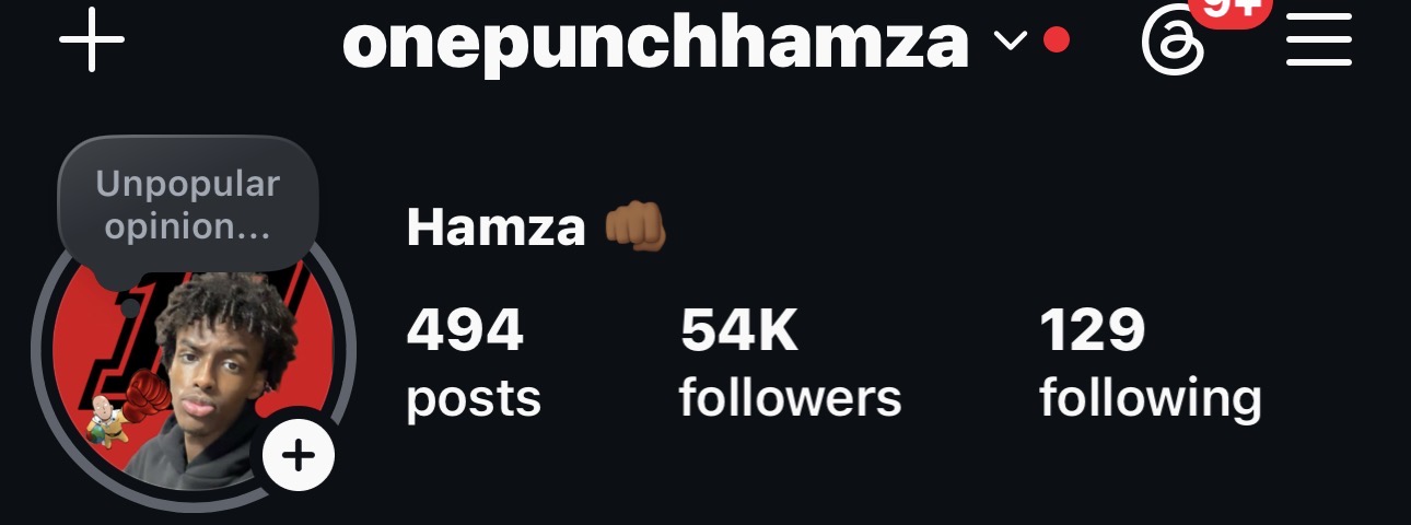 Instagram profile page showing username, profile picture, follower count, and post count.