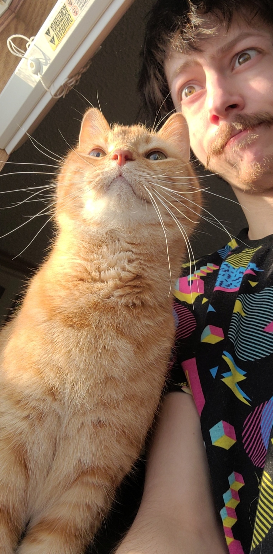 Person and orange tabby cat close-up, both looking upward, sunlight on their faces, person wearing a colorful patterned shirt.