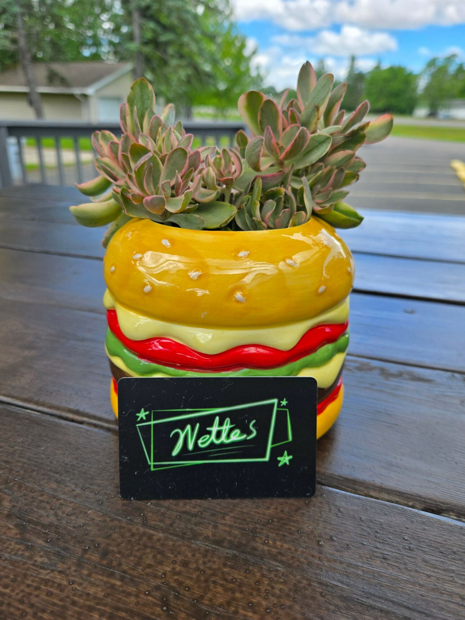 Decorative succulent plant in a container designed to look like a hot dog with mustard, ketchup, and relish, on a wooden surface.