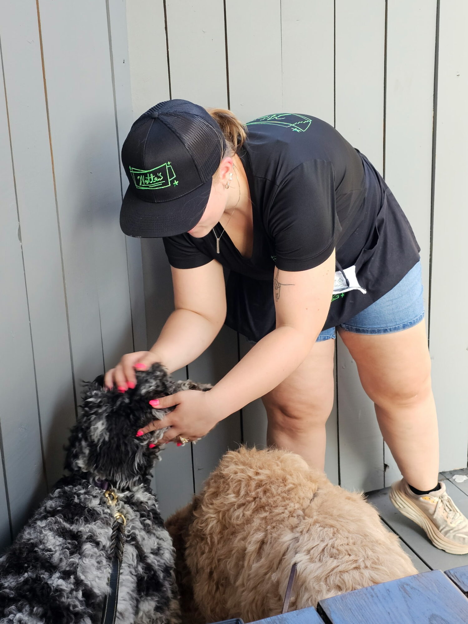 Person bending down, wearing a black cap and black shirt, petting two dogs outside near a gray fence.