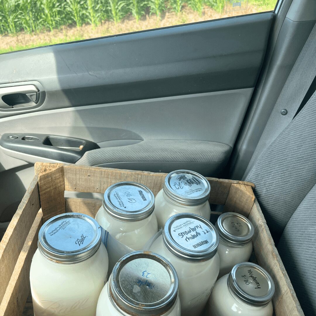 Inside a vehicle, a wooden crate with glass jars of milk on the seat next to the window, sunlight outside.