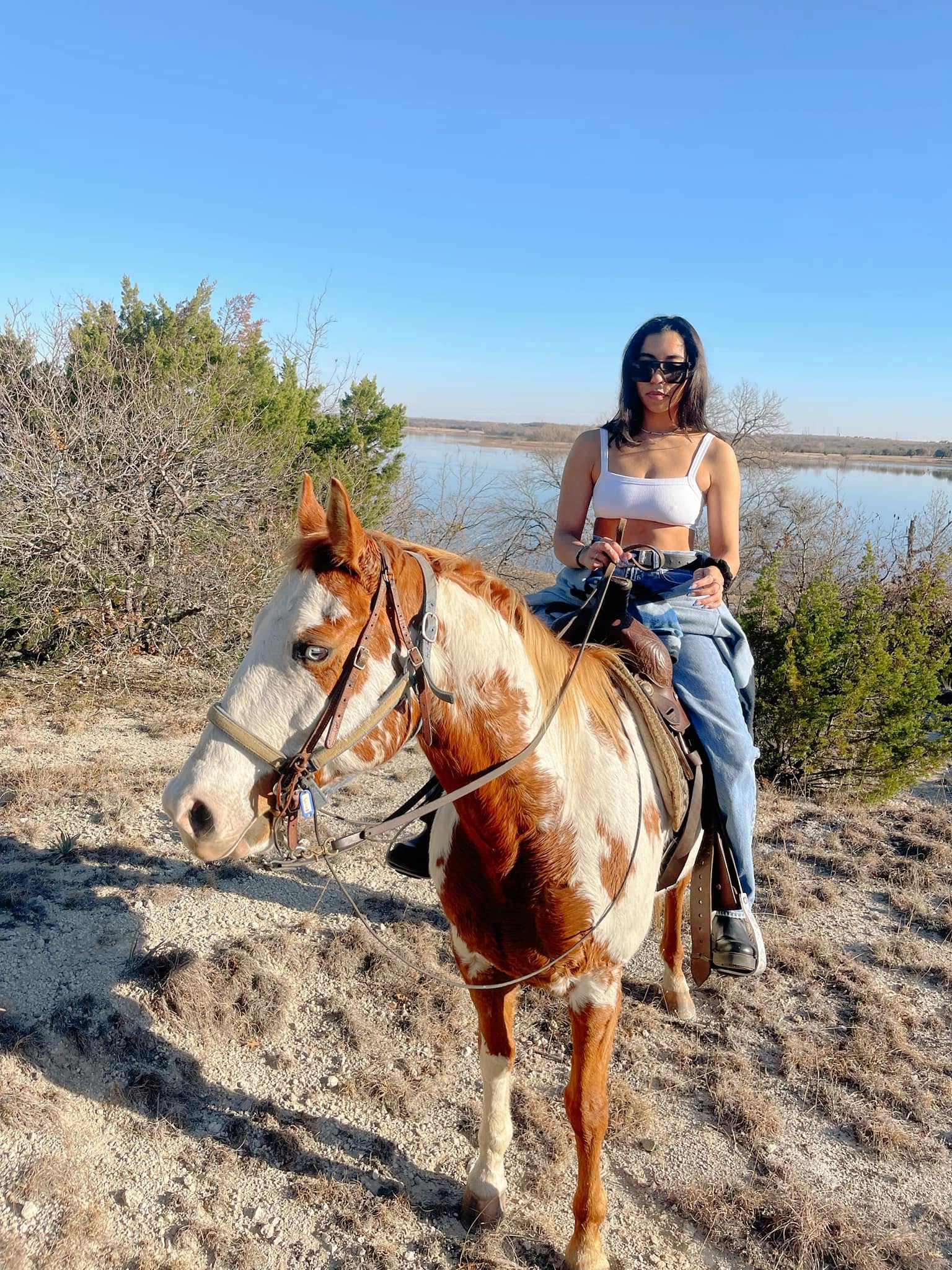 Woman riding a horse outdoors near water, wearing sunglasses and a white top, with bushes and blue sky in background.