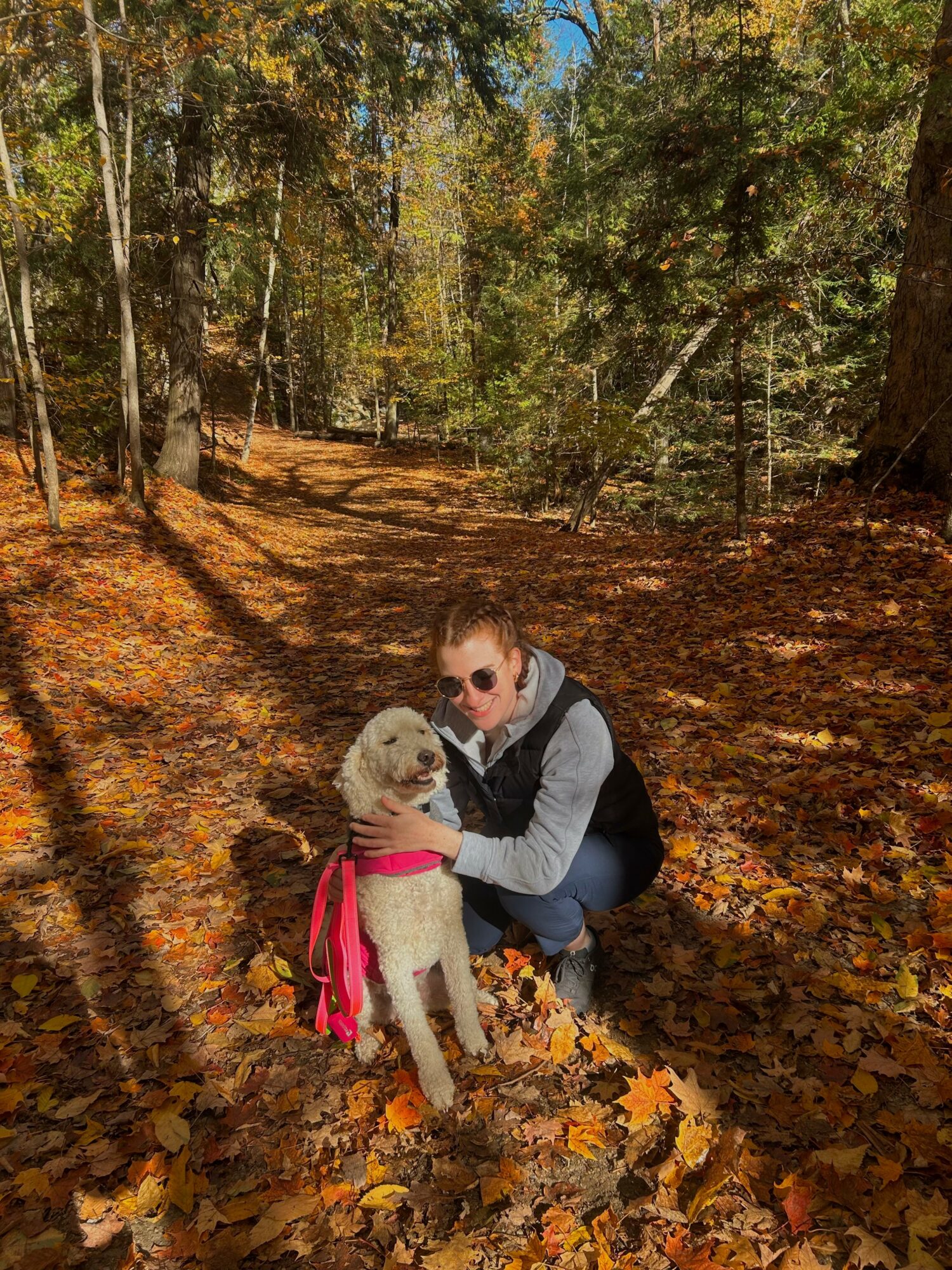 Person crouching with a dog in a forest with autumn leaves on the ground.