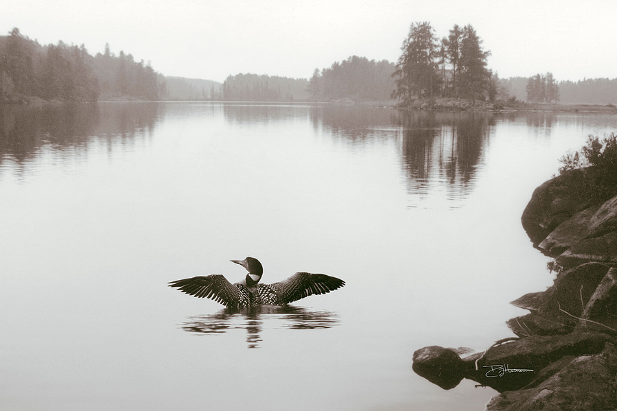 A person with arms outstretched in a lake, surrounded by trees and rocks, with calm water and reflections.