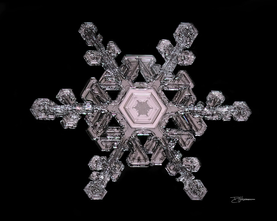 A detailed snowflake with six symmetrical branches against a black background.