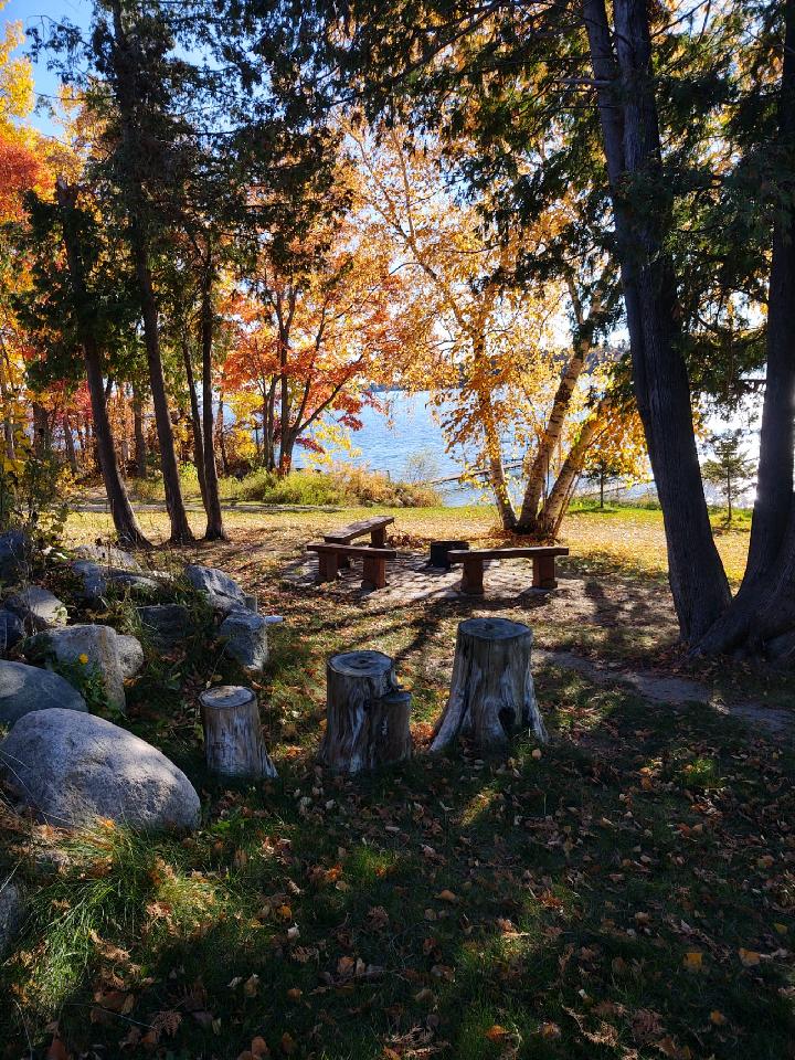Park scene with trees, benches, and rocks, during autumn with colorful leaves, near a body of water.
