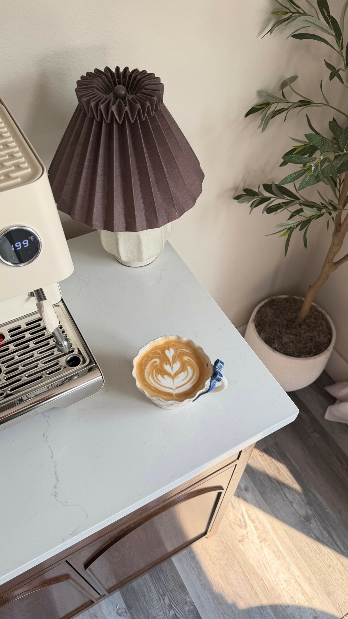 Coffee machine, pleated lampshade, small plate with latte art, potted plant, and wooden furniture in a room.
