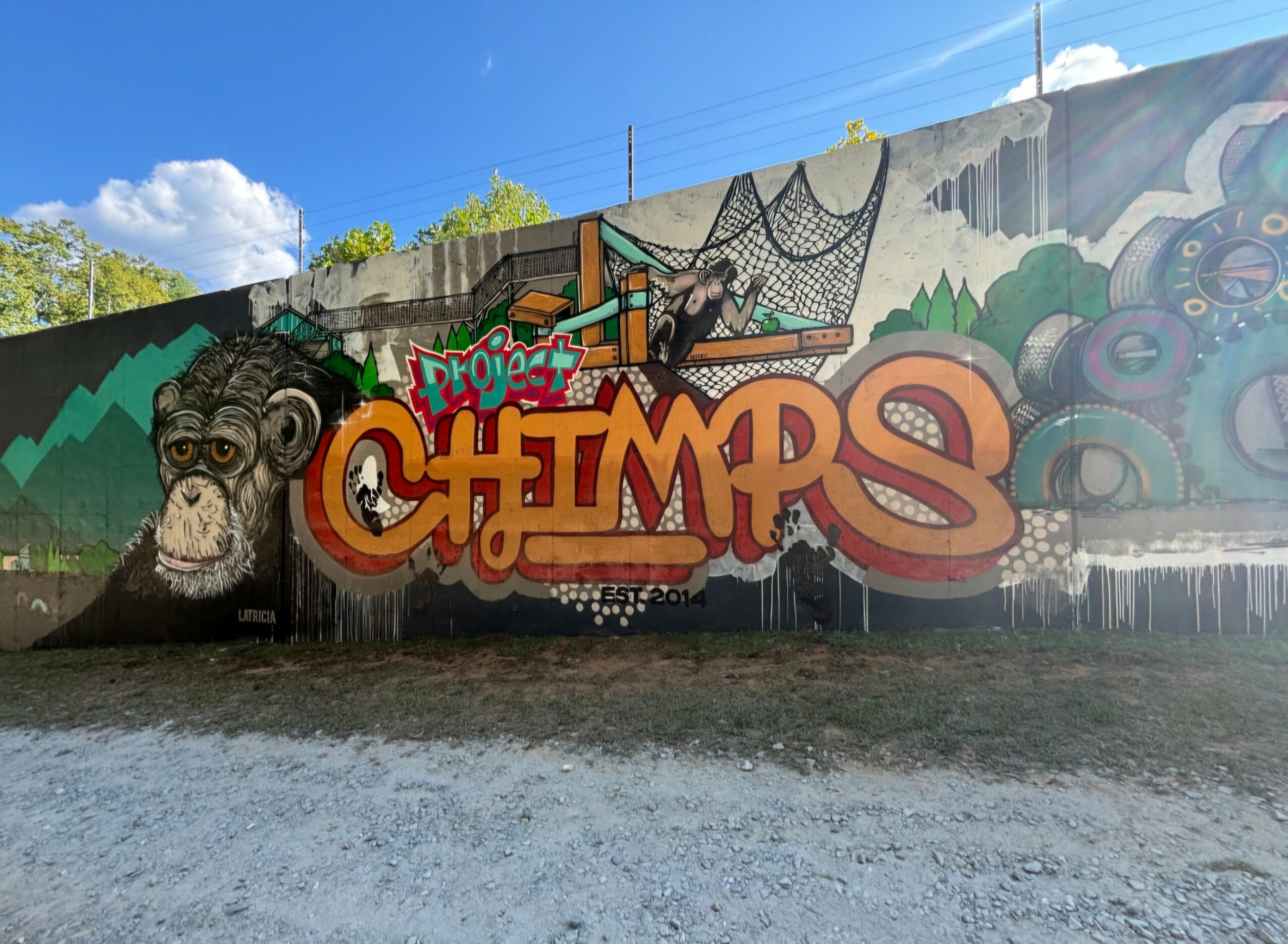 Colorful graffiti mural with a monkey face, the word 'CHIMPS' in large letters, and various abstract designs on a wall.
