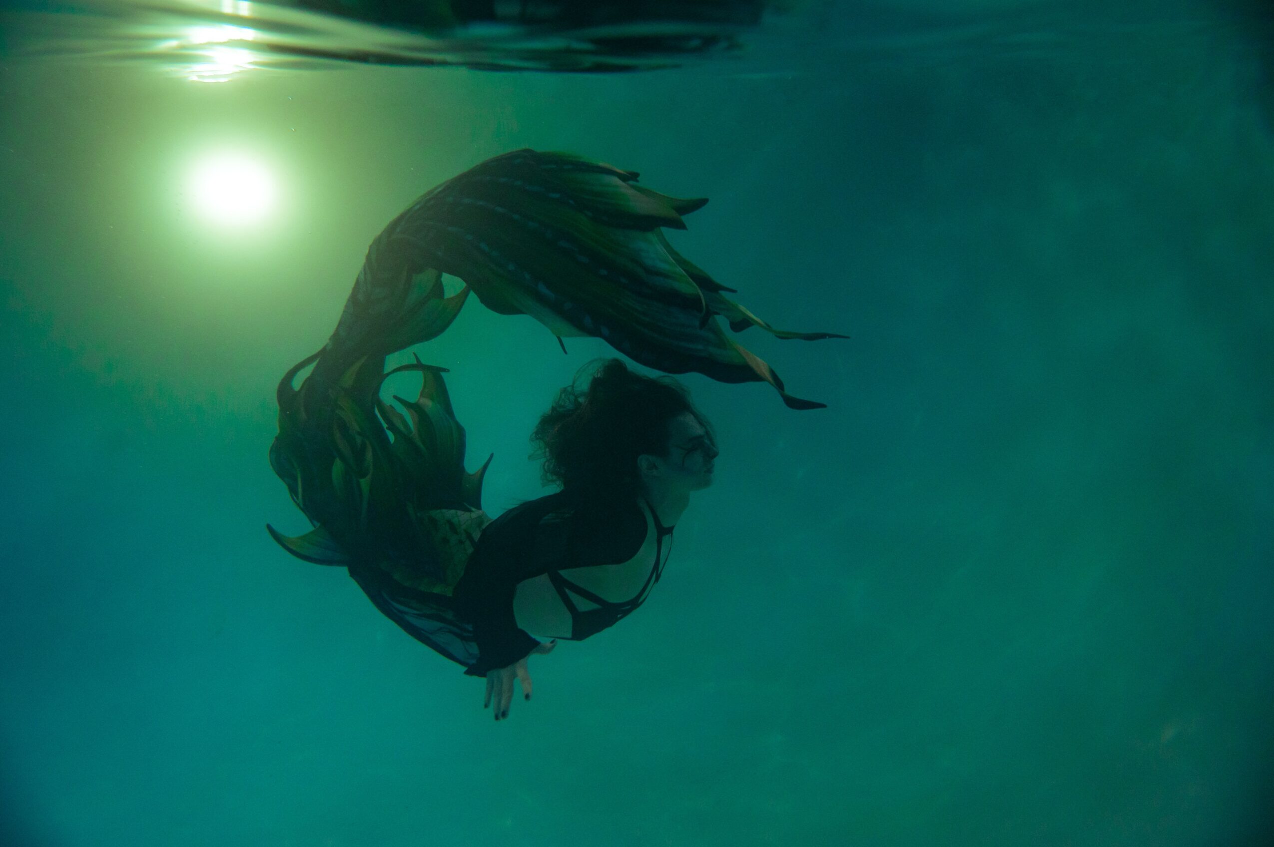 Person swimming underwater with a large piece of driftwood, sunlight visible from above, in a teal-colored water scene.