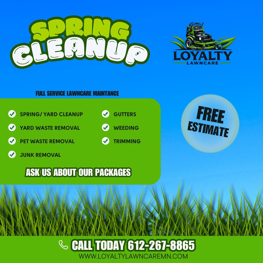 Spring cleanup flyer with lawn care services, free estimate, and contact information, featuring grass and a blue sky background.