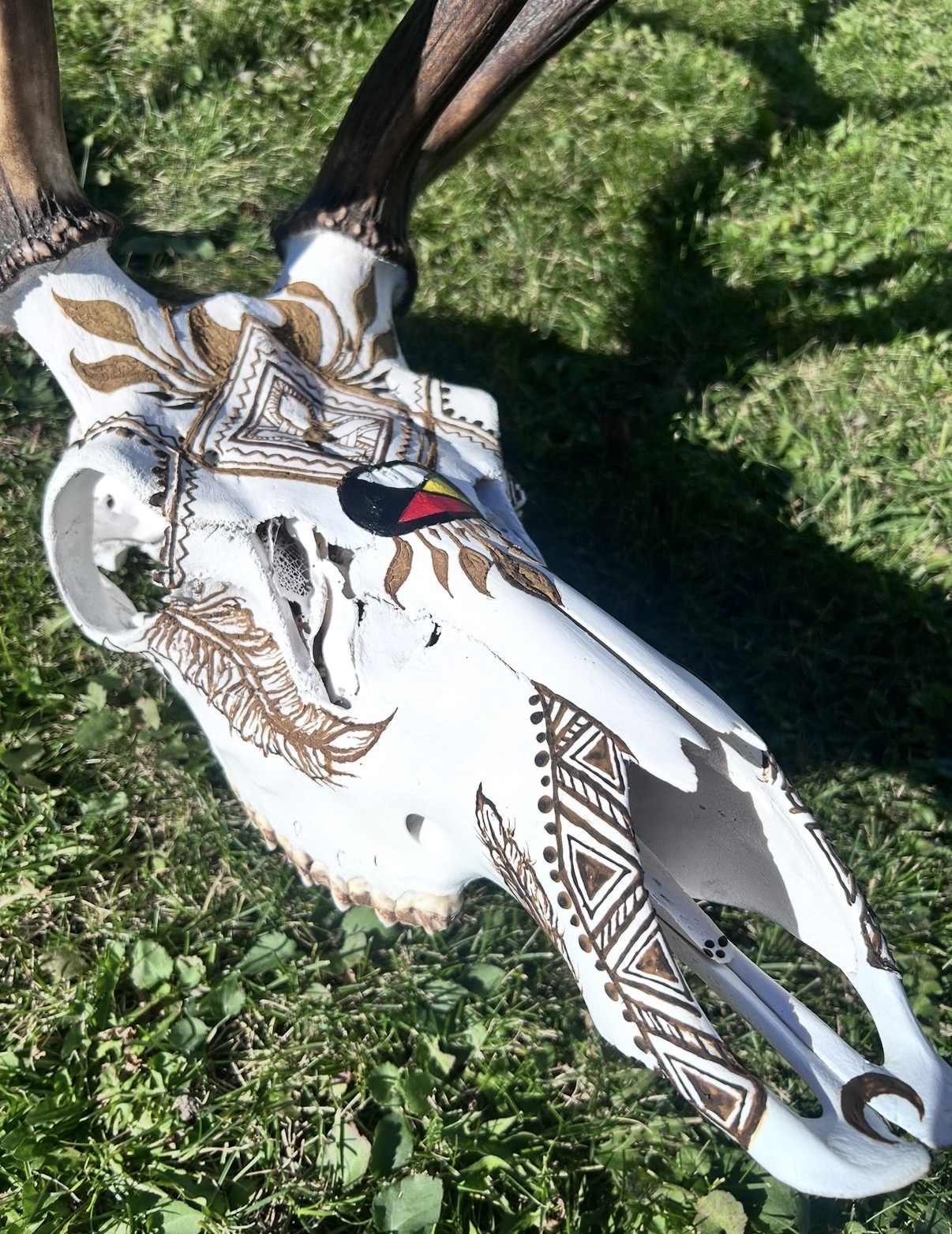 Decorative animal skull with painted designs, placed on grass with green foliage in background.