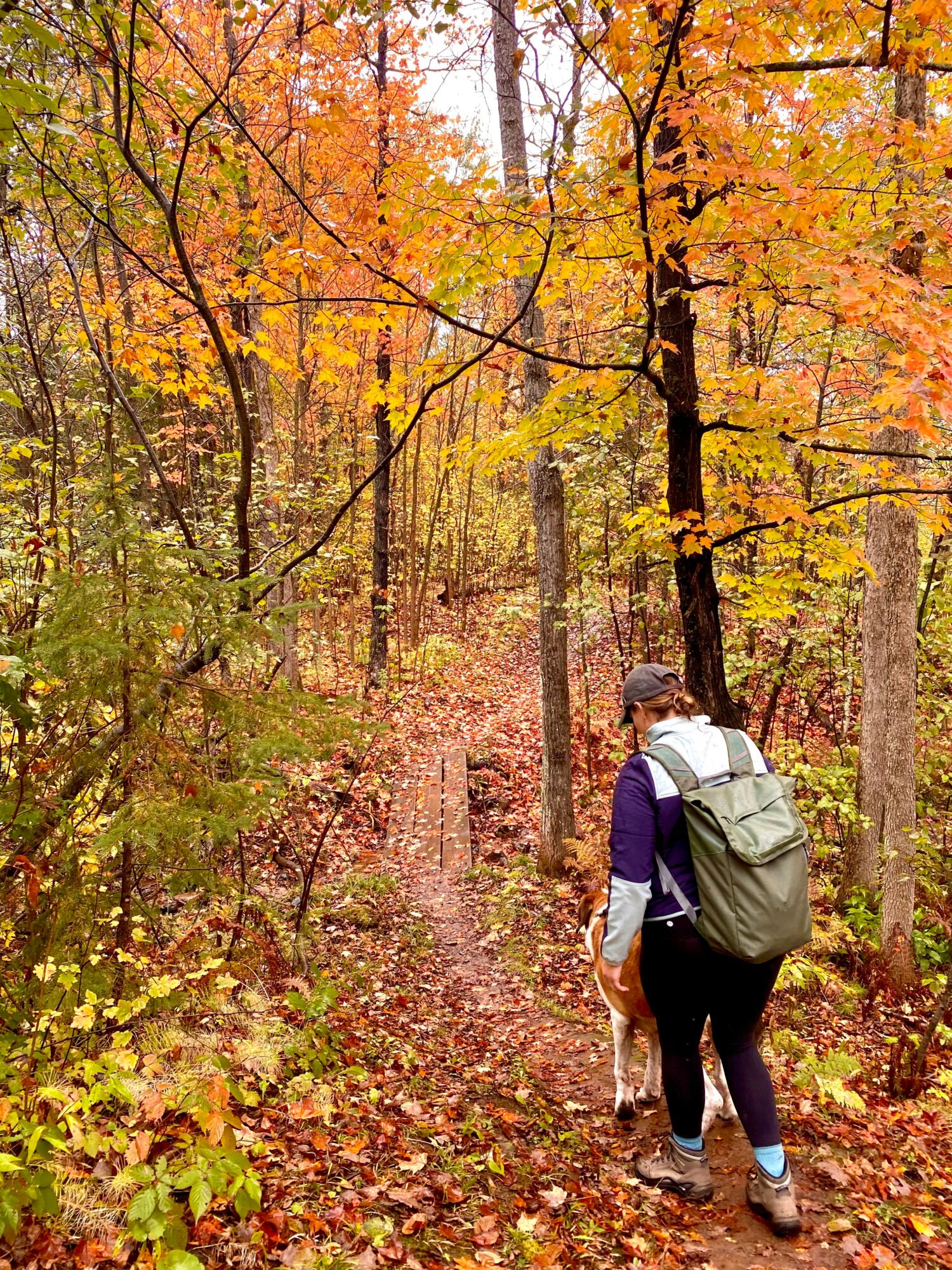 Person walking on a leaf-covered trail in a colorful autumn forest, carrying a backpack and holding a dog leash.