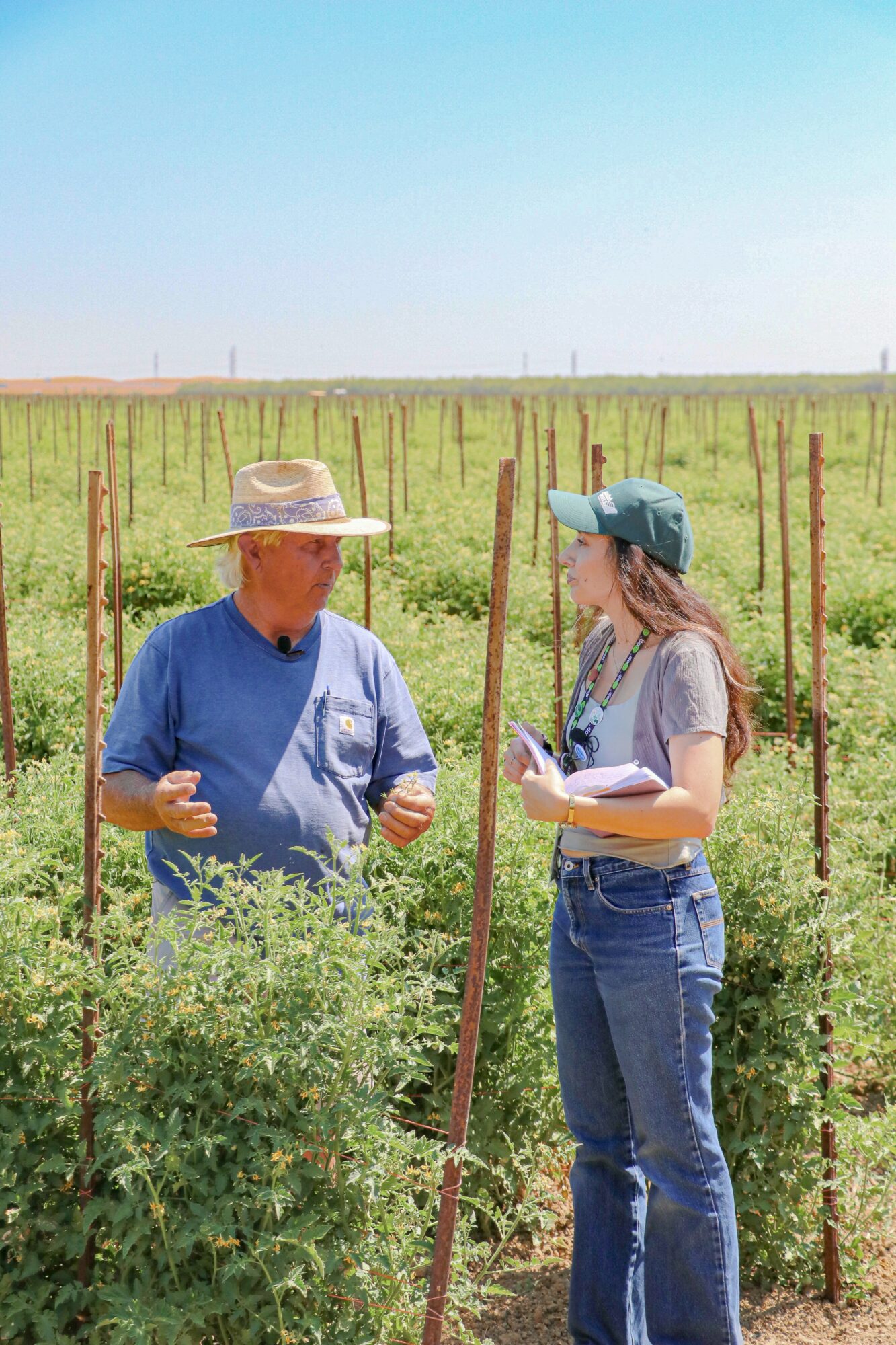Two people, a man and a woman, stand in a field with rows of plants and wooden stakes, talking outdoors.