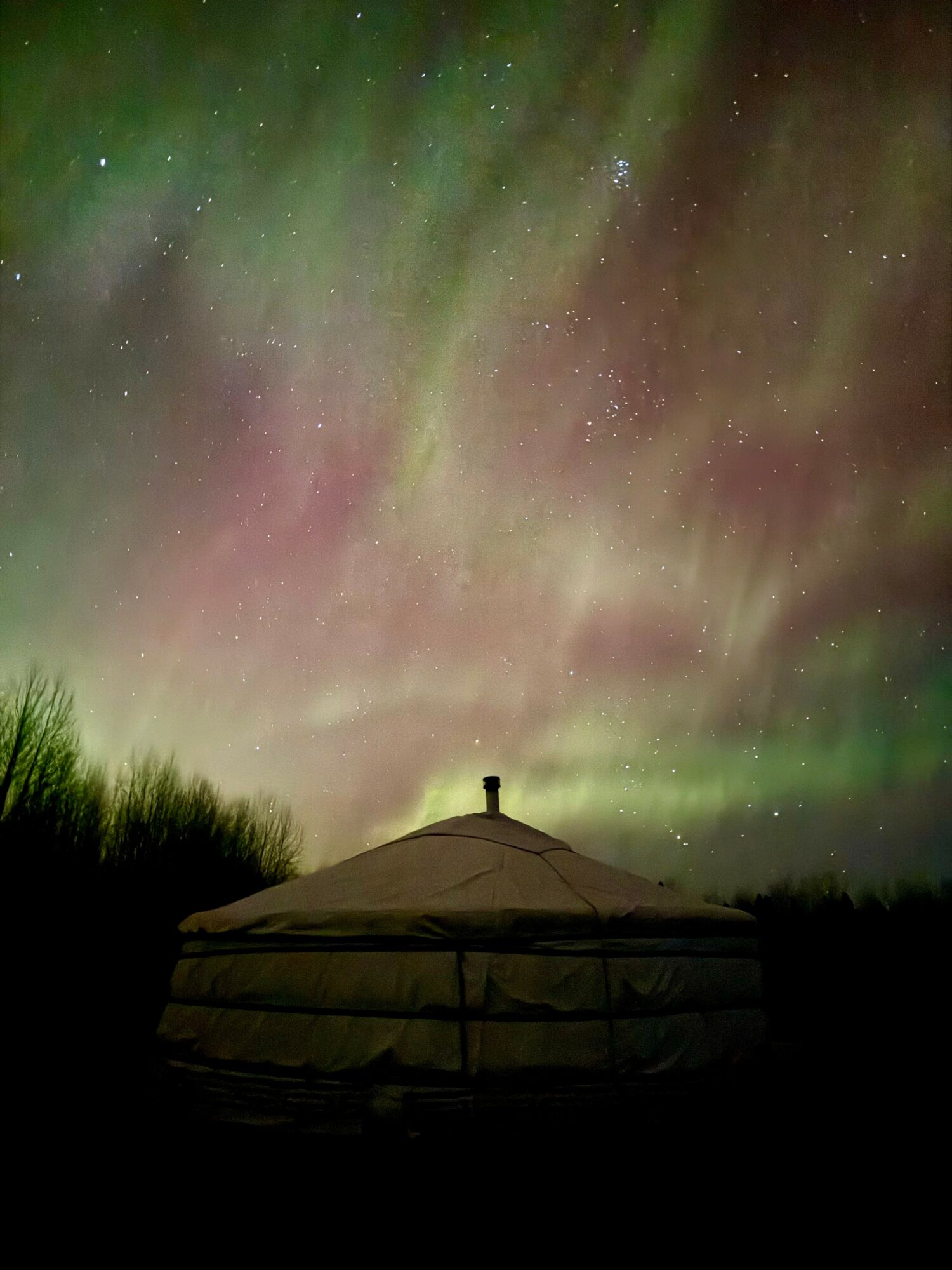 Night sky with colorful aurora borealis above a yurt, with trees in the foreground.