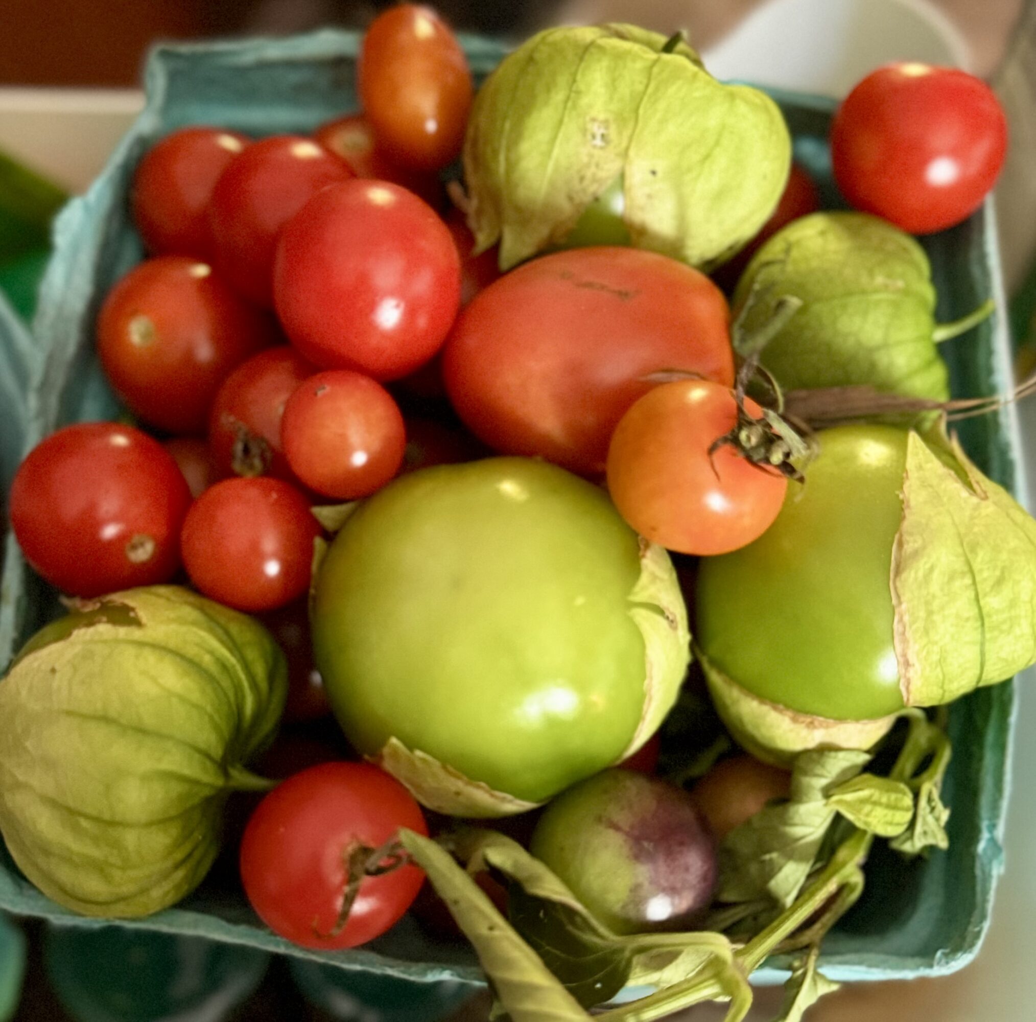 Assorted tomatoes and green tomatillos in a basket, some with stems and leaves, in various sizes and colors.