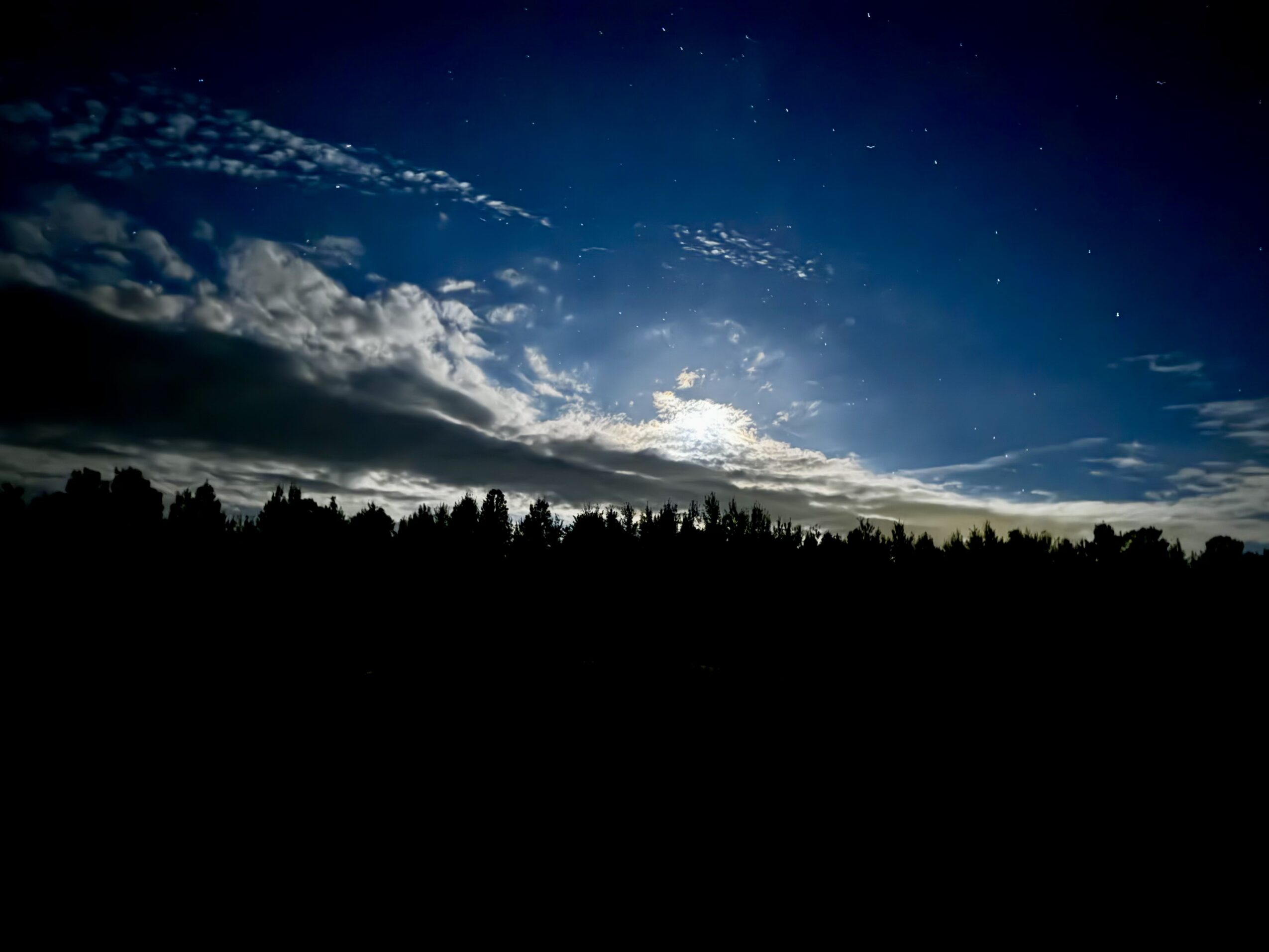 Night sky with stars and clouds above a silhouette of trees on the horizon.