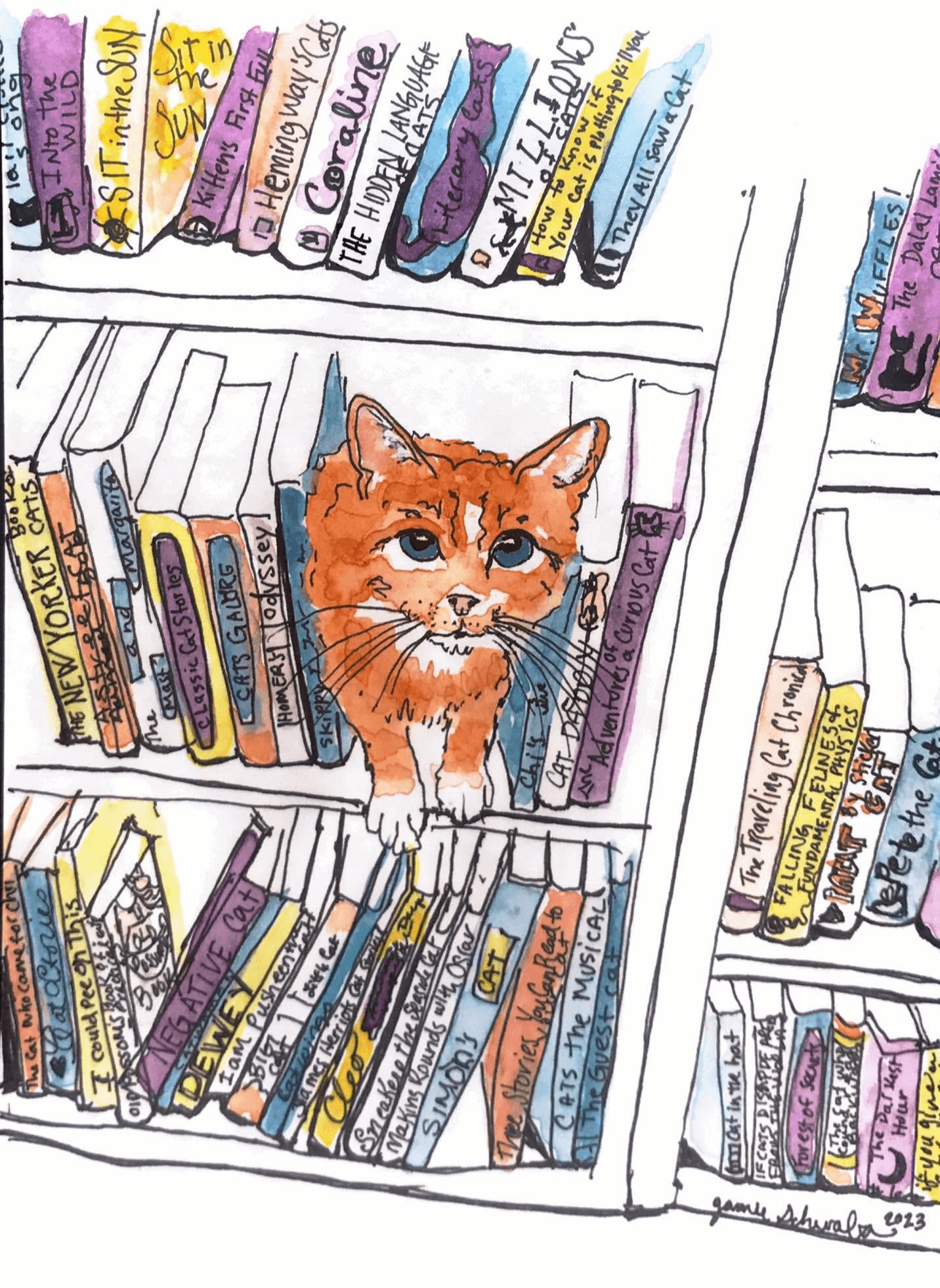 A cat's head peeks through a gap in a bookshelf filled with colorful books, with a white background.