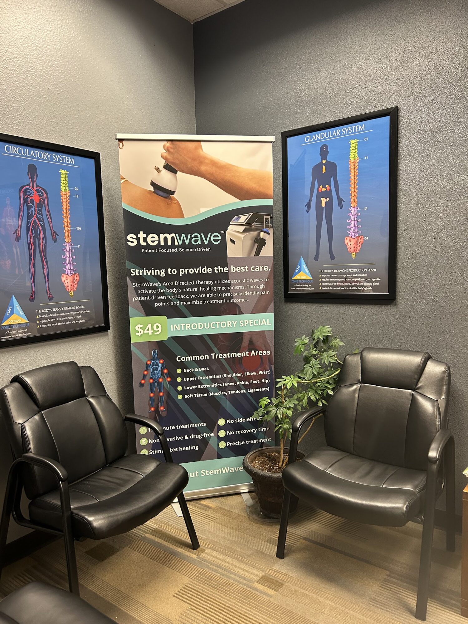 Waiting room with two black chairs, a potted plant, and medical posters on the wall.
