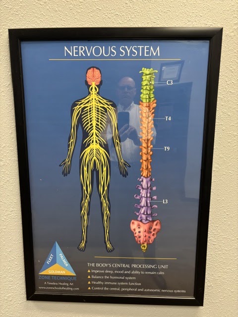 Diagram of the nervous system with a human figure and a detailed spinal cord illustration, labeled with nerve pathways and sections.